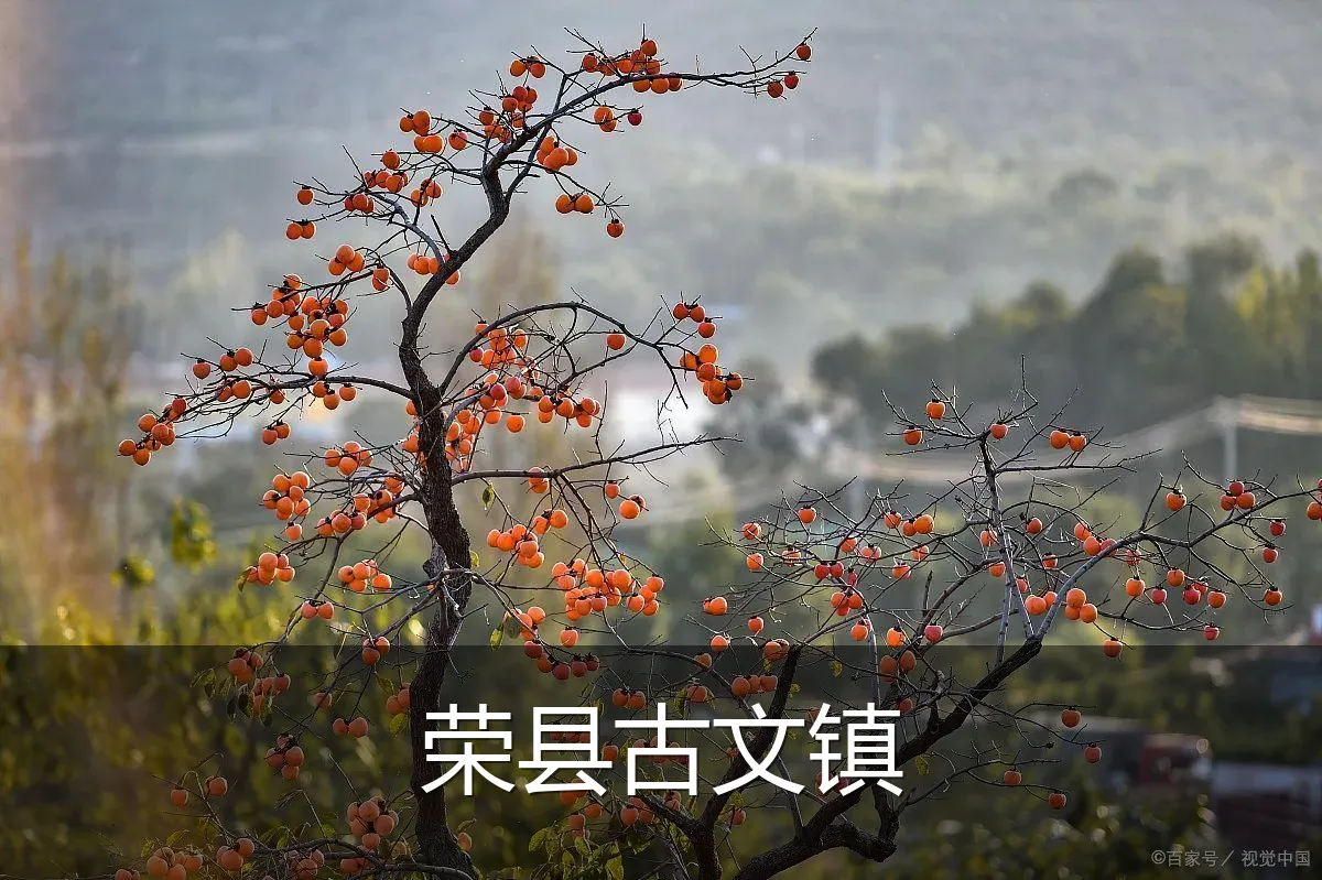 荣县古文镇