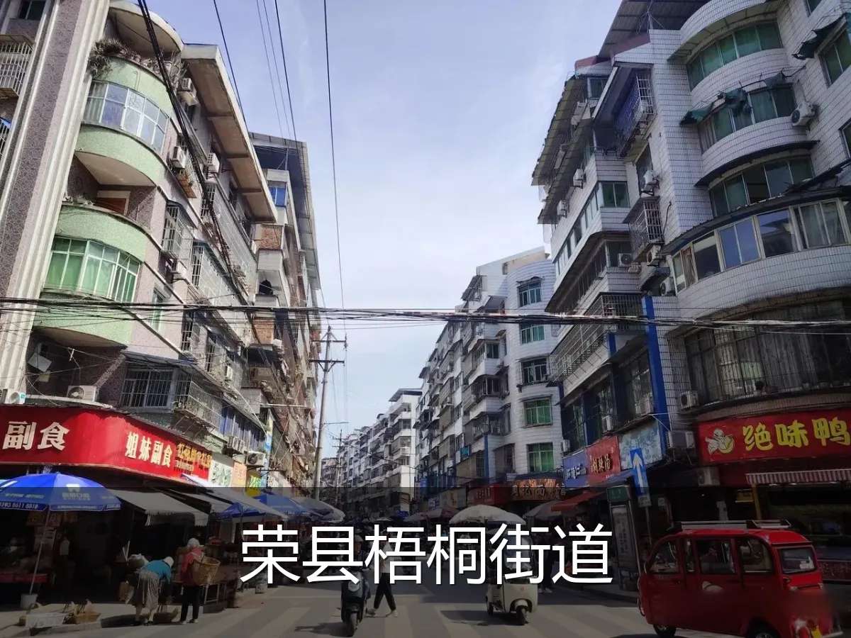 荣县梧桐街道